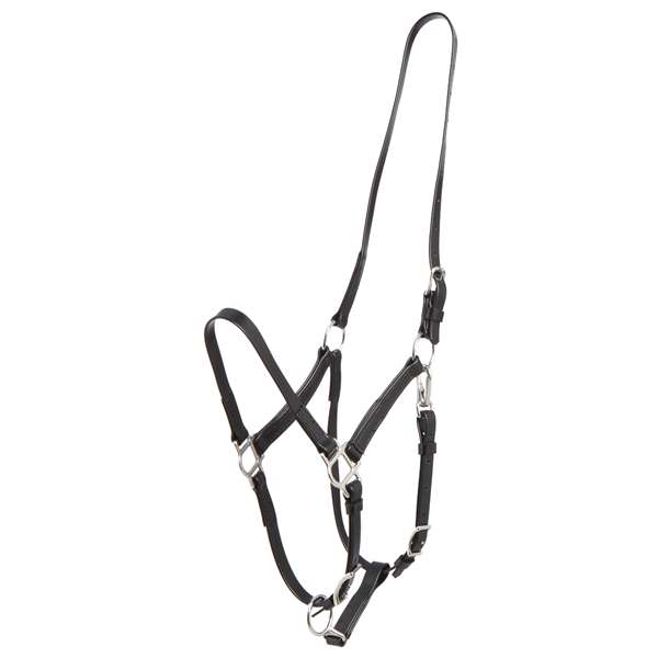 Zilco Deluxe Endurance Bridle - Halter Only