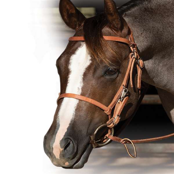 Professional's Choice Trail Halter Bridle