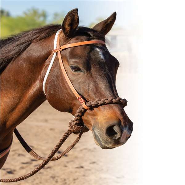 Professional's Choice Loping Hackamore