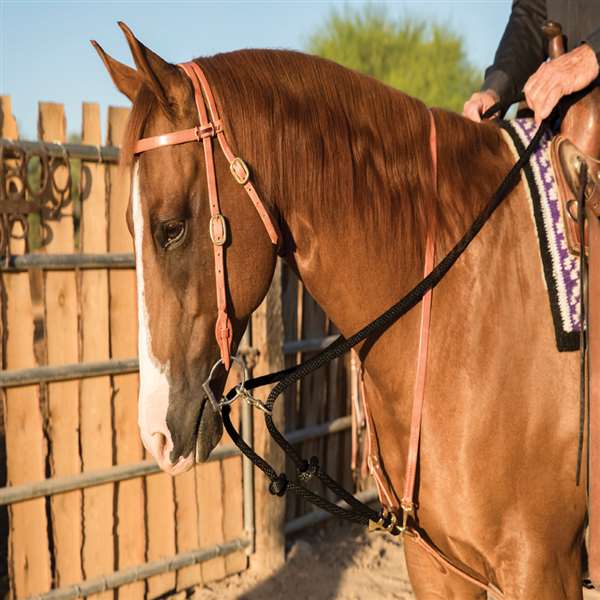 Professional's Choice Al Dunning Schutz Draw Rope Martingale