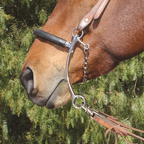 Brittany Pozzi Hackamore with Rubber Noseband