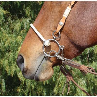 Brittany Pozzi Combination Series - Smooth Snaffle