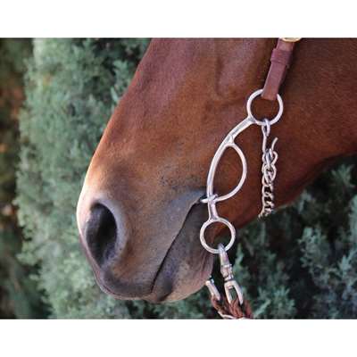 Professional's Choice Futurity Bit 6.5" Snaffle