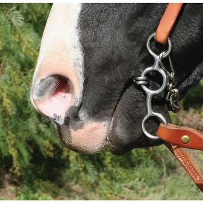 Bit Equisential by Professional's Choice Perform Short Twist Wire Gag