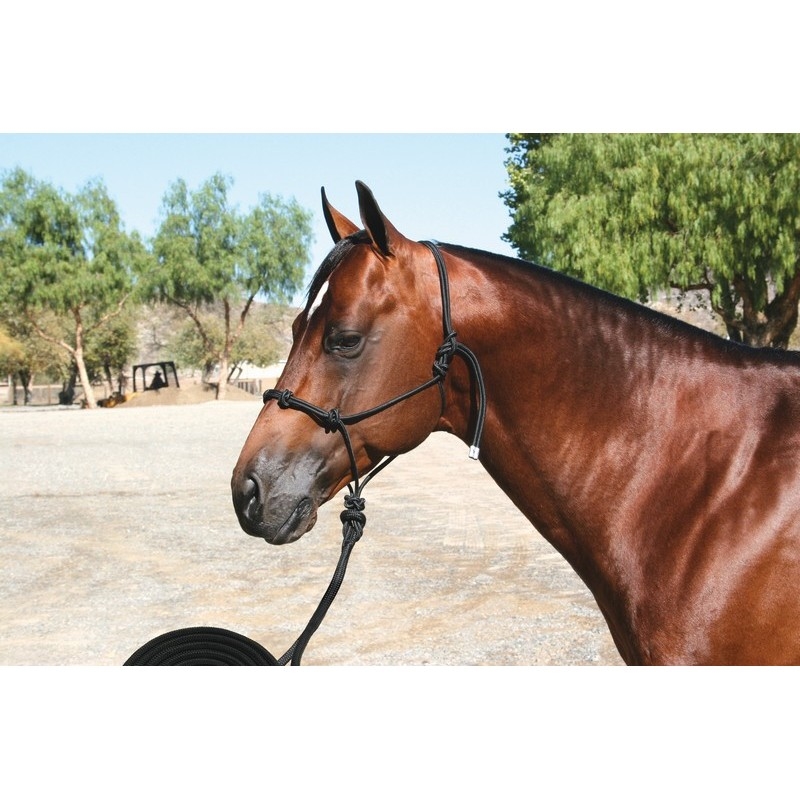 Professional's Choice Clinician Halter 15' Nylon Lea