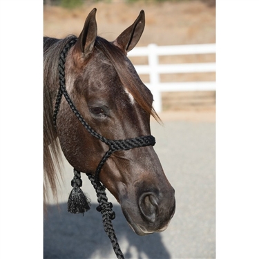 Professional's Choice Cowboy Braided Halter 10' Lead