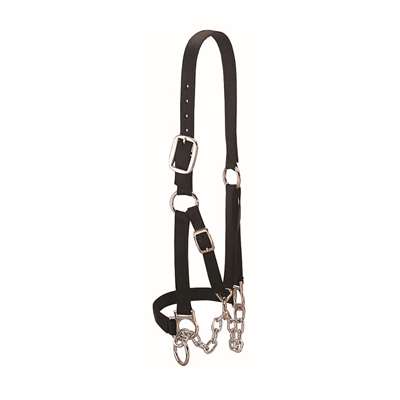 Heavy-Duty Restraint Halter