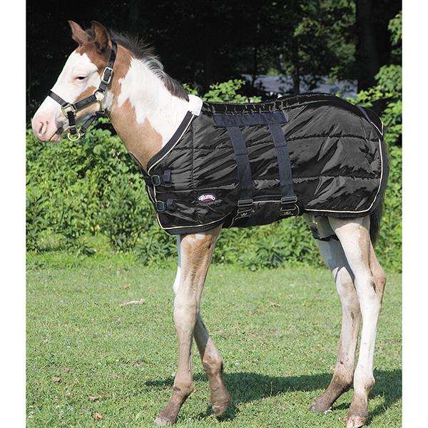 Foal Blanket