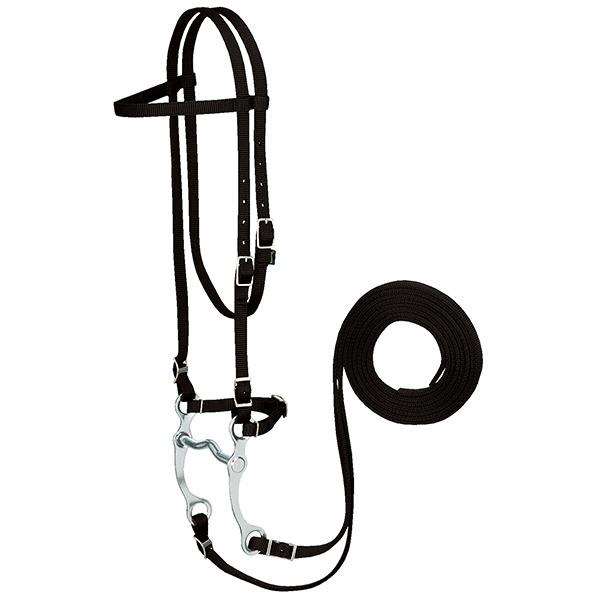 Nylon Browband Bridle