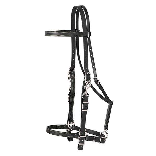 Brahma Webbï¿½ Halter Bridle