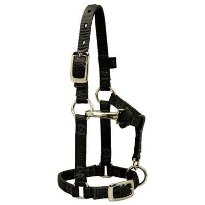 Miniature Horse Adjustable Chin & Throat Snap Halter, 5/8"