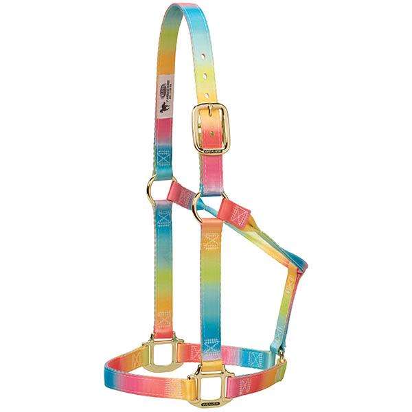 Polyester Rainbow Non-Adjustable Halter, 1"