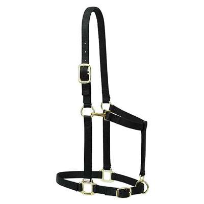 Nylon Adjustable Draft Horse Halter, 1"