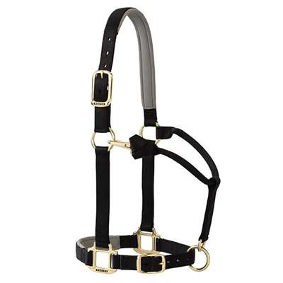 Original Padded Adjustable Halters