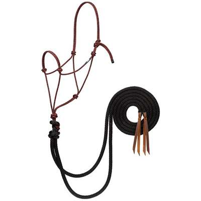 Average Loping Halter with 8' Rein