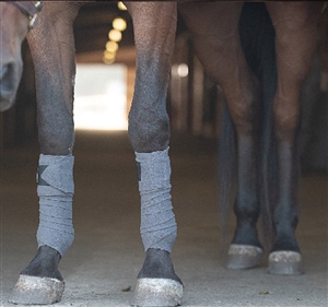 4 Pieces Horse Leg Wraps Equestrian Equipment Riding Racing
