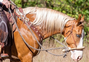 Western Horse Bosal Mecate