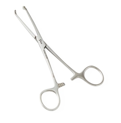 Furst Allis Tissue Forceps, 5x6 Teeth, 6"