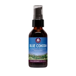 Blue Cohosh