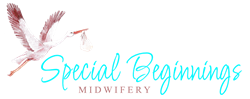 Special Beginnings Midwifery Waterbirth Kit