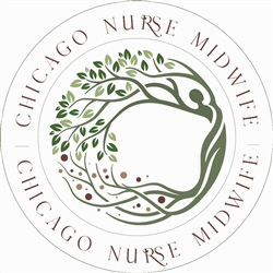 Chicago Nurse Midwife Custom Birth Kit