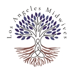 Los Angeles Midwives Custom Birth Kit