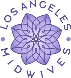 Los Angeles Midwives Custom Birth Kit