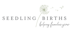 Seedling Births Custom Birth Kit