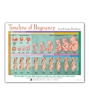 Timeline of Pregnancy Chart