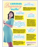 Common Pregnancy Myths Chart