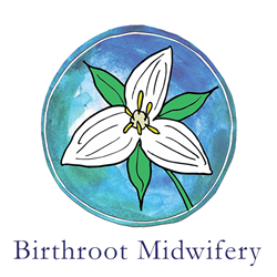 Birthroot Midwifery Custom Birth Kit