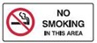 NO SMOKING IN THIS AREA 180X450 SS