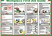 WORKPLACE FIRST AID GUIDE POSTER