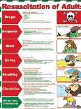 Resuscitation Of Adults - Workplace Safety Posters