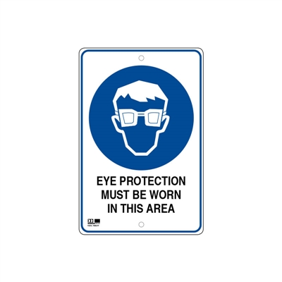 Pilot Sign - Eye Protection - 300 x 450mm Polypropylene