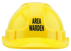 Area Warden Hard Hat