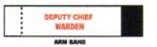 Deputy Chief Warden Arm Band