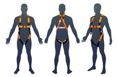 Essential Harness (Basic entry level)