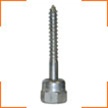 GST 20 Sammy Screw Wood 8008957