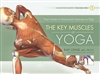 The Key Muscles of Yoga: Scientific Keys Volume I by Ray Long, Chris Macivor