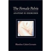 The Female Pelvis Anatomy & Exercises