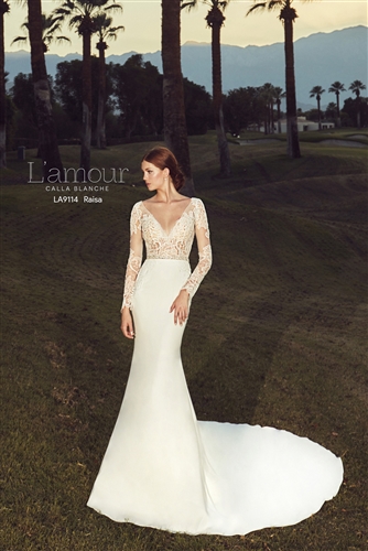 Lamour Bridal Gown LA9114L