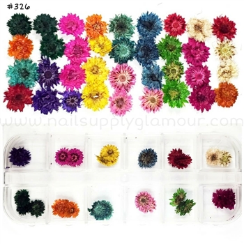 Natural Flowers MIX Nail Art 12 colors #186
