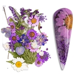 Natural Flowers Mix Colors / Sizes #190