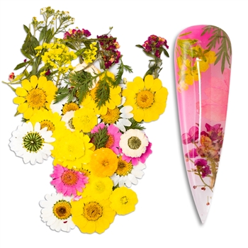 Natural Flowers Mix Colors / Sizes #197