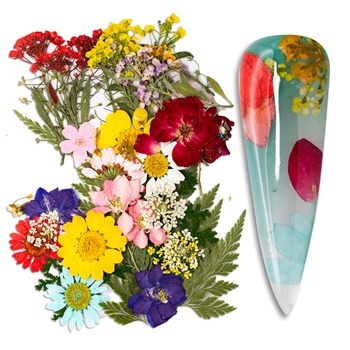 Natural Flowers Mix Colors / Sizes #198