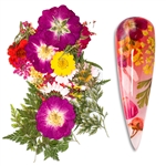 Natural Flowers Mix Colors / Sizes #199