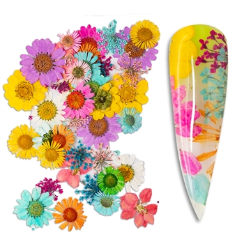 Natural Flowers Mix Colors / Sizes #202
