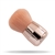 Rose Gold Dust Brush