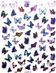 HOLO BUTTERFLY Nail Stickers # 143